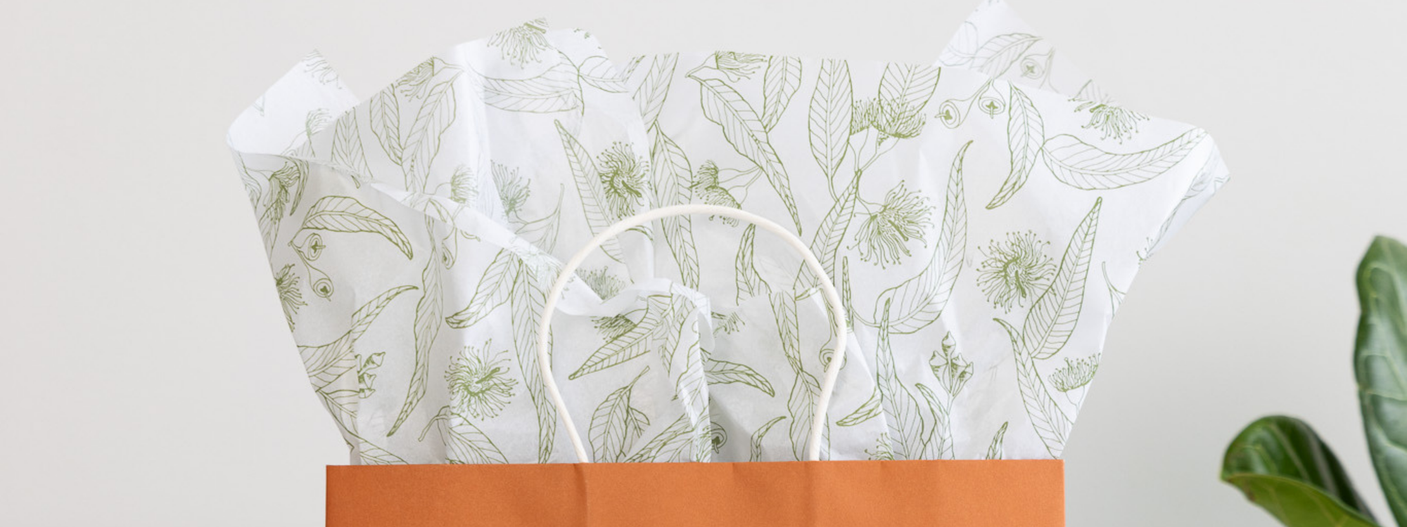 Tissue Paper